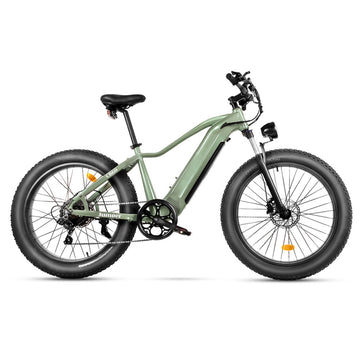 Wkdog Jumper ebike 52V 15.6Ah