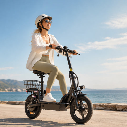 Wkdog CB8 Vélo électrique